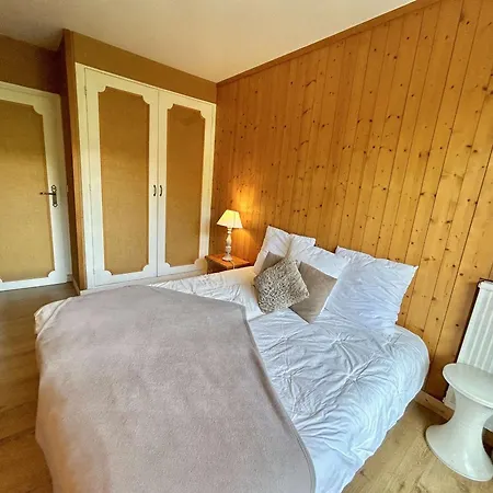 Cosy 2 Pieces Avec Balcon, Proche Centre Et Telecabine, Piscine Et Tennis En Ete - Fr-1-597-20 Apartment